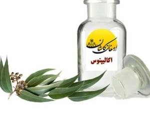 خواص اسانس اکالیپتوس