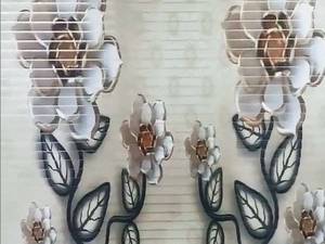 قیمت پرده زبرا چاپی