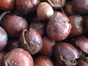 آجیلکده بابا رحیم در مازندران