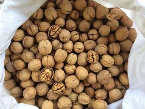 آجیلکده بابا رحیم در مازندران