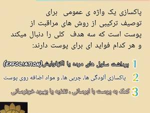 پاکسازی النا بیوتی در لاهیجان