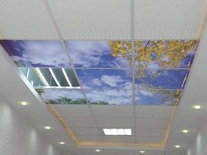 بهترین نقاش ساختمان درلشت نشا