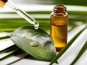 روغن درخت چای ارگانیک در رشت