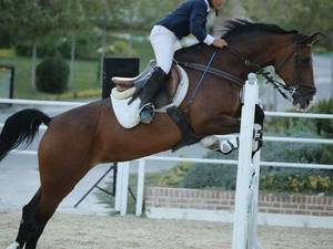 باشگاه سوارکاری راد در قم