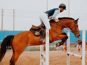 باشگاه سوارکاری راد در قم