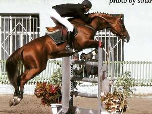 باشگاه سوارکاری راد در قم