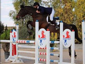 باشگاه سوارکاری راد در قم