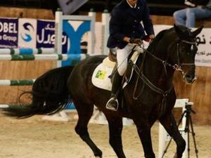 باشگاه سوارکاری راد در قم