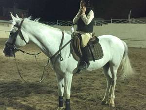 باشگاه سوارکاری راد در قم