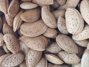 مغز بادام شیرین