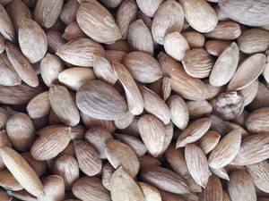 ارائه دهنده  انواع خکشبار