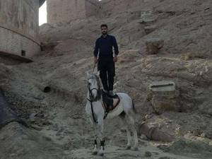 مجموعه پرورش اسب سه سوار در اصفهان