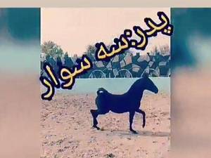مجموعه پرورش اسب سه سوار در اصفهان