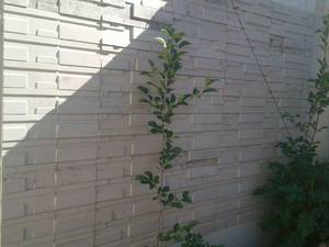 تولید سنگ مصنوعی نما در مشهد