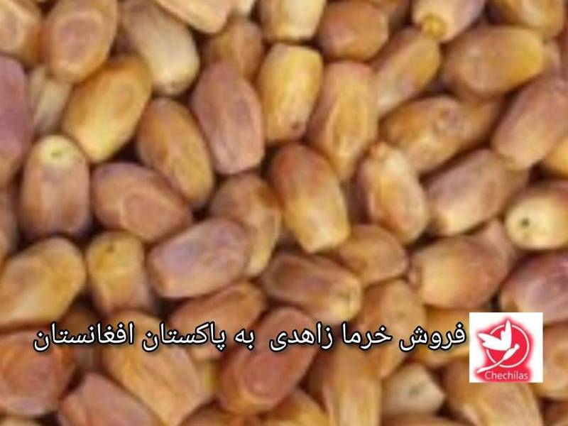 خرما زاهدی پاکستان