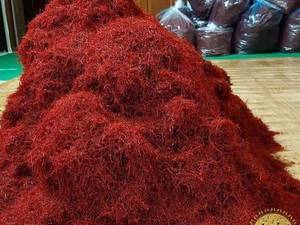 زعفران صادراتی در تربت حیدریه
