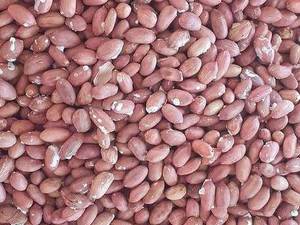 عرضه بادام برشته تازه  در آستانه