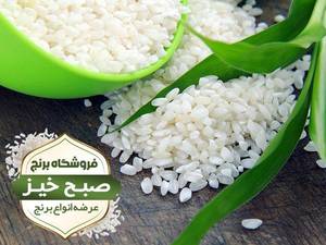 فروش نیم دانه در گیلان