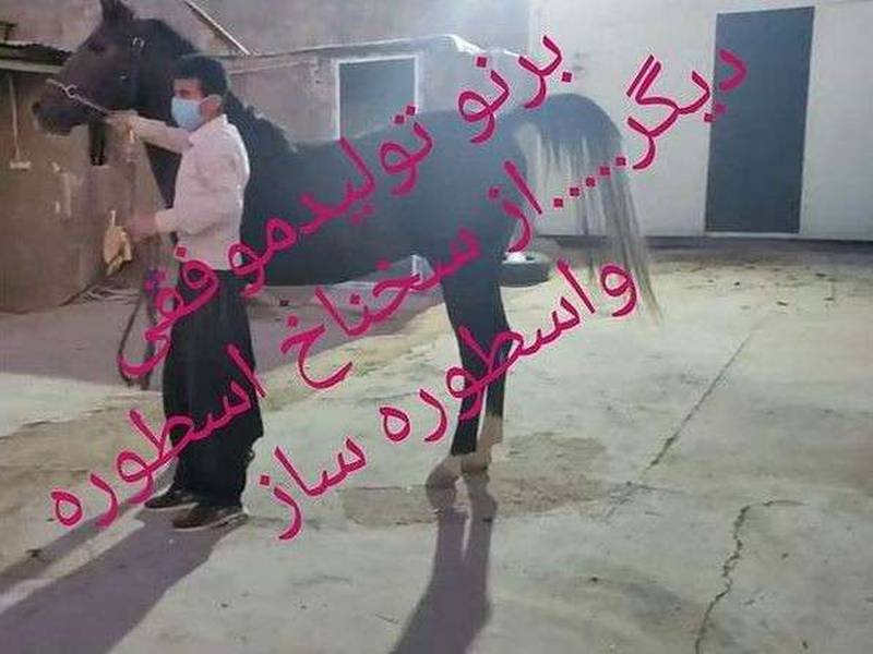برنو تولید موفق در کرمانشاه
