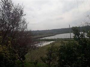 قیمت زمین روستایی کشاورزی دربابلکنار