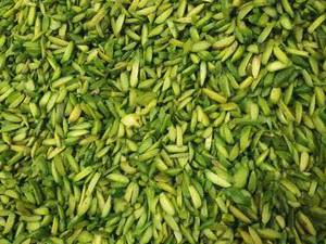 ارائه دهنده خشکبار
