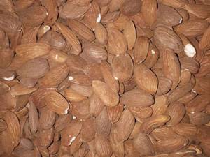 بادام سنگی