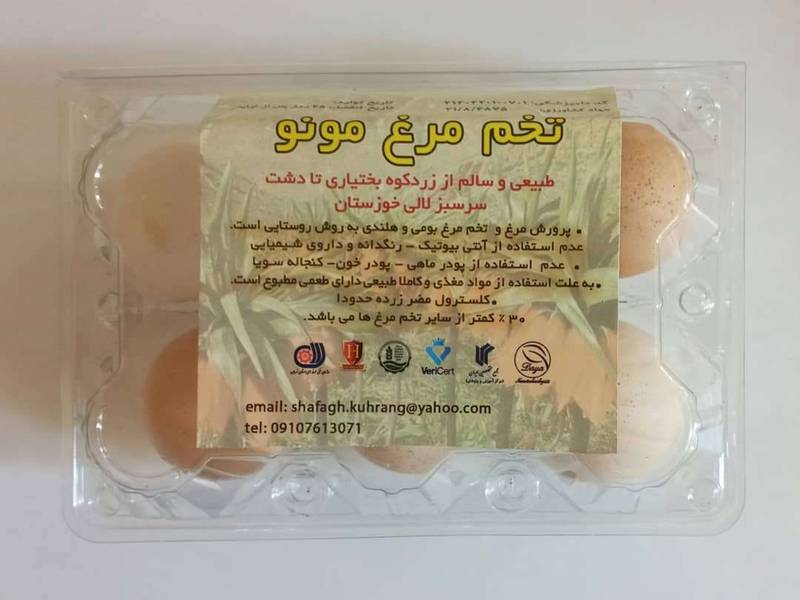 پخش تخم مرغ ارگانیک بسته بندی بصورت عمده و خرده در کشور