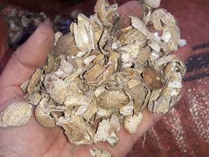 فروش  خاک پوست بادام درختی  در نوشهر
