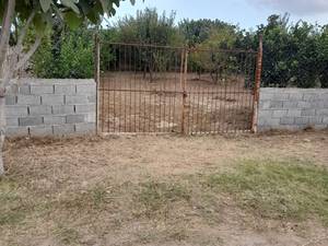 قیمت زمین باغی در جویبار