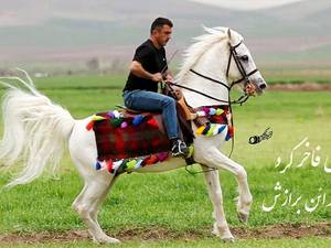 سیلمی مدائن برازش در کرمانشاه