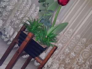 ساخت استند نردبانی چوبی در قائم شهر