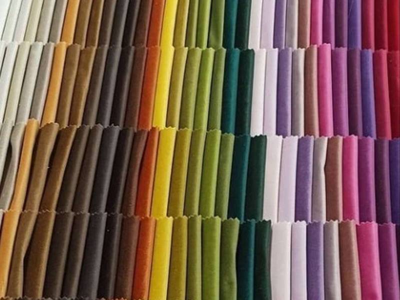 مخمل کالیفرنیا در رنگ بندی مختلف در مشهد