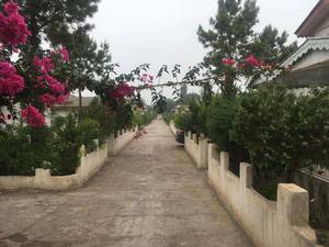 شهرک ویلایی ساحلی 10 واحد ویلای،ساحل زیبا کنار