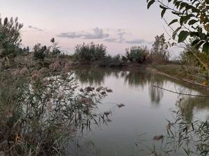 استخر و حوضچه ماهی