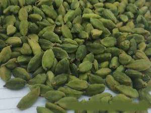 هل سبز اعلا در تربت حیدریه