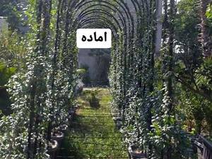 تونل گل یاس در رشت
