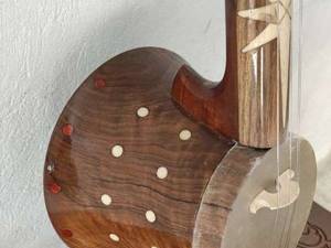 حرفه ایی ترین کمانچه گردو