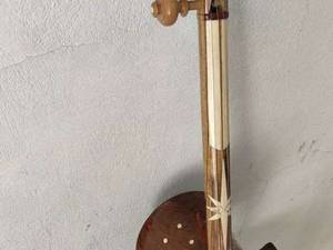 حرفه ایی ترین کمانچه گردو