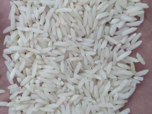 قیمت خرید مرغوب ترین برنج هاشمی درمازندران