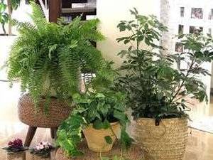 تولید و فروش انواع میز حصیری در سایز های مختلف