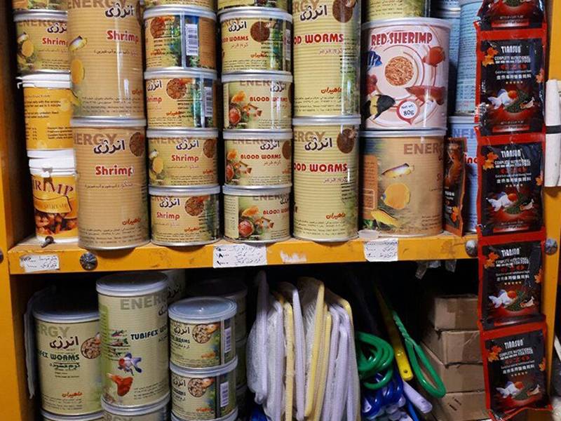 خرید و سفارش غذا ماهی با قیمت مناسب در رشت
