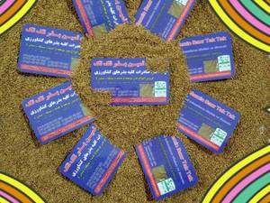 فروش انواع بذر یونجه با کیفیت عالی در تبریز