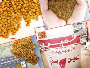 فروش انواع بذر یونجه در تبریز