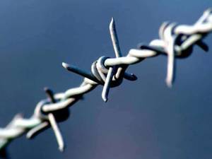 تولیدکننده سیم خاردار خطی در بازارآهن تهران