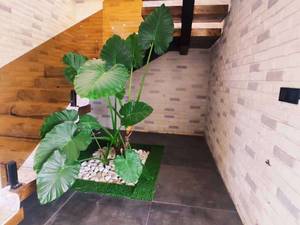 خرید ویلا شهرکی در رامسر