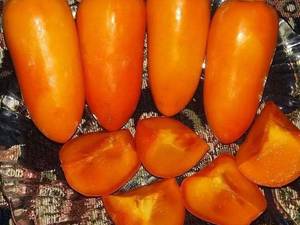 قیمت نهال خرمالوی موزی  در میاندوآب