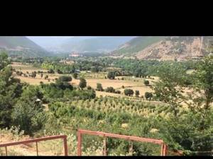 فروش باغ گیلاس کجور کندلوس