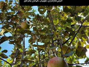 فروش زمین خانسرایی