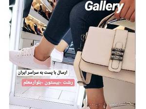 پومای جذاب
