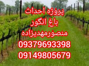 نهالستان مهندس منصورمهدیزاده